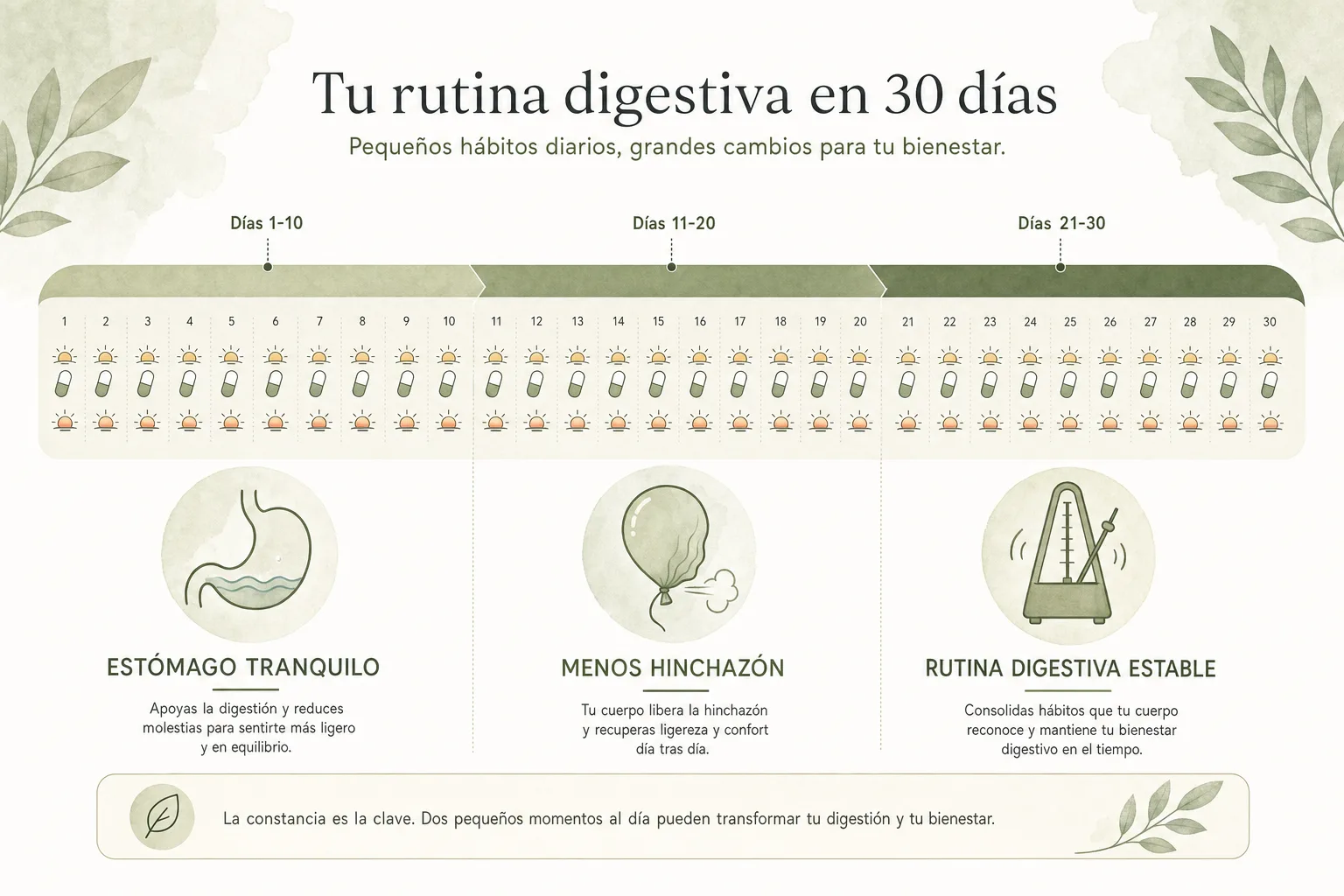 Línea de tiempo de 30 días del curso de Paraxen mostrando el cambio en la sensación de pesadez, la menor hinchazón y la rutina digestiva más estable